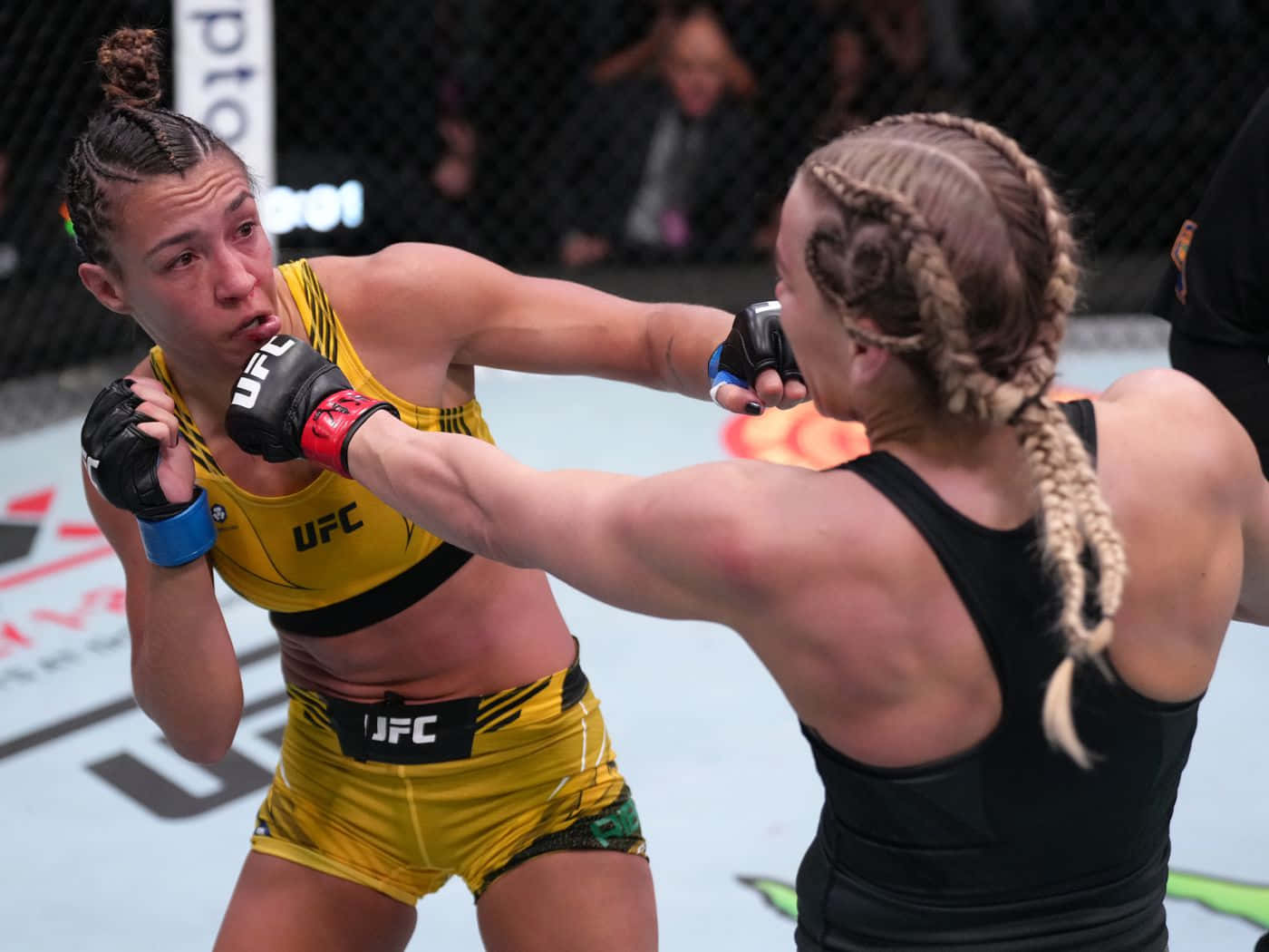 凱特琳·庫卡吉安展現精準與力量的拳擊瞬間 壁紙 — 兩名女性MMA拳手在激烈的UFC比賽中交鋒，其中一人打出強力一拳。
