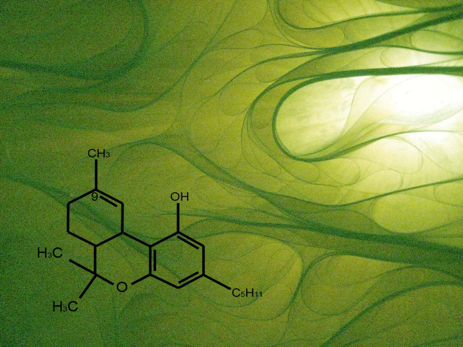 Green Chemistry 桌布 壁紙 — 分子結構圖漂浮在帶有柔和光線的流動綠色抽象背景上。