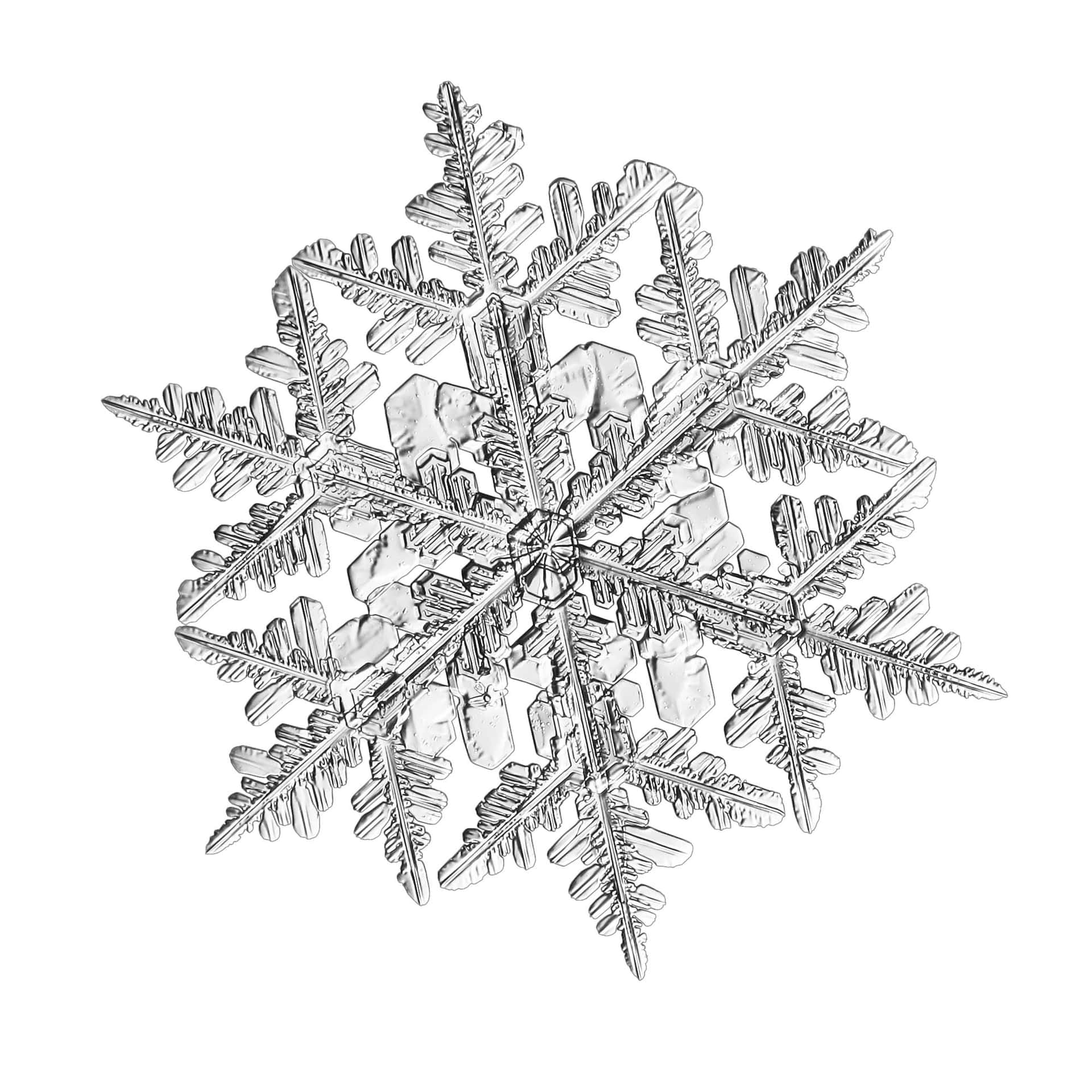特寫一個詳細的雪花，有六個臂和晶體結構。