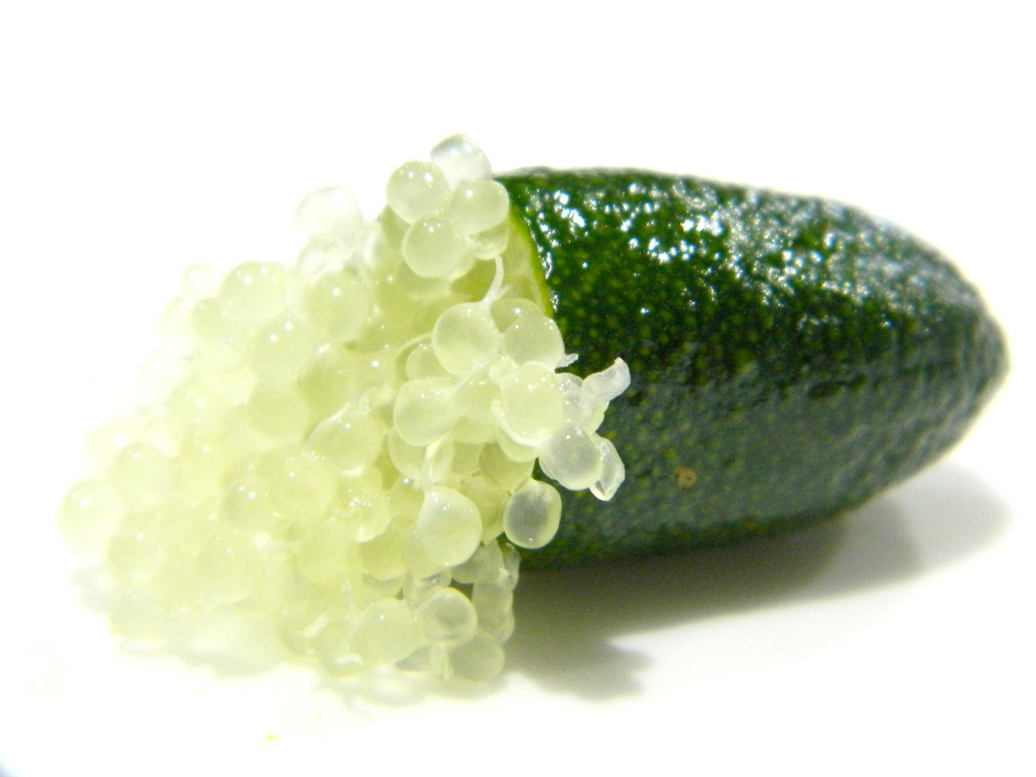 切開的指 lime 顯現黃色果肉 壁紙 — 一個青檸的特寫，其切開的一端流出半透明淡黃色的魚子醬，背景是純白色。