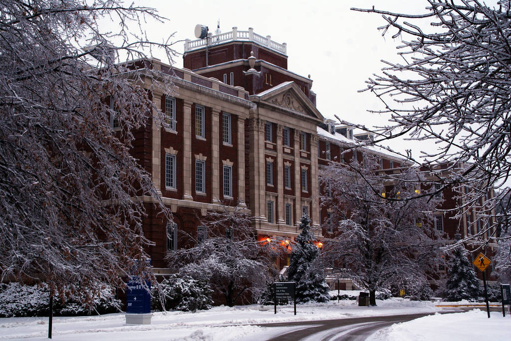 被雪覆蓋的大學建築，帶有霜凍的樹木和一條寧靜的小路。
