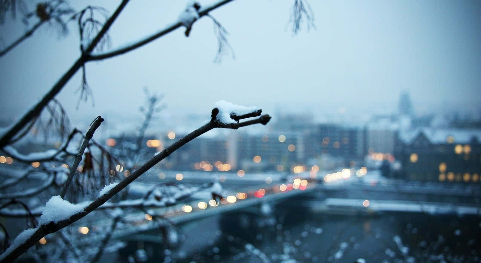 別讓人生風暴阻礙你探索世界 壁紙 — 灑滿雪的樹枝框住一個模糊的城市景觀，在灰色冬日天空下閃爍著溫暖的散景燈光。