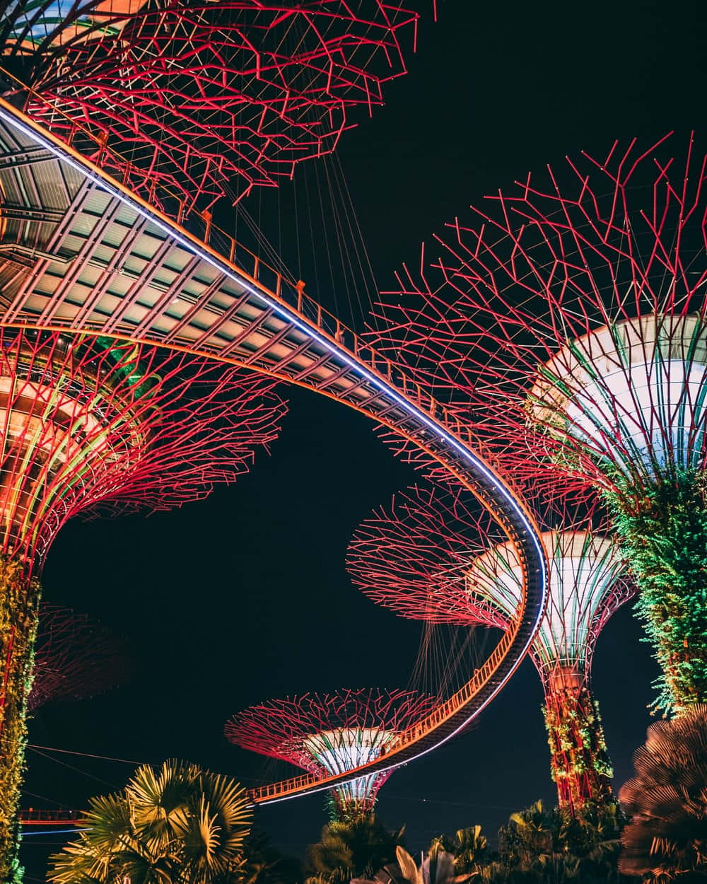新加坡夜晚，發光的超級樹與閃亮的空中步道。