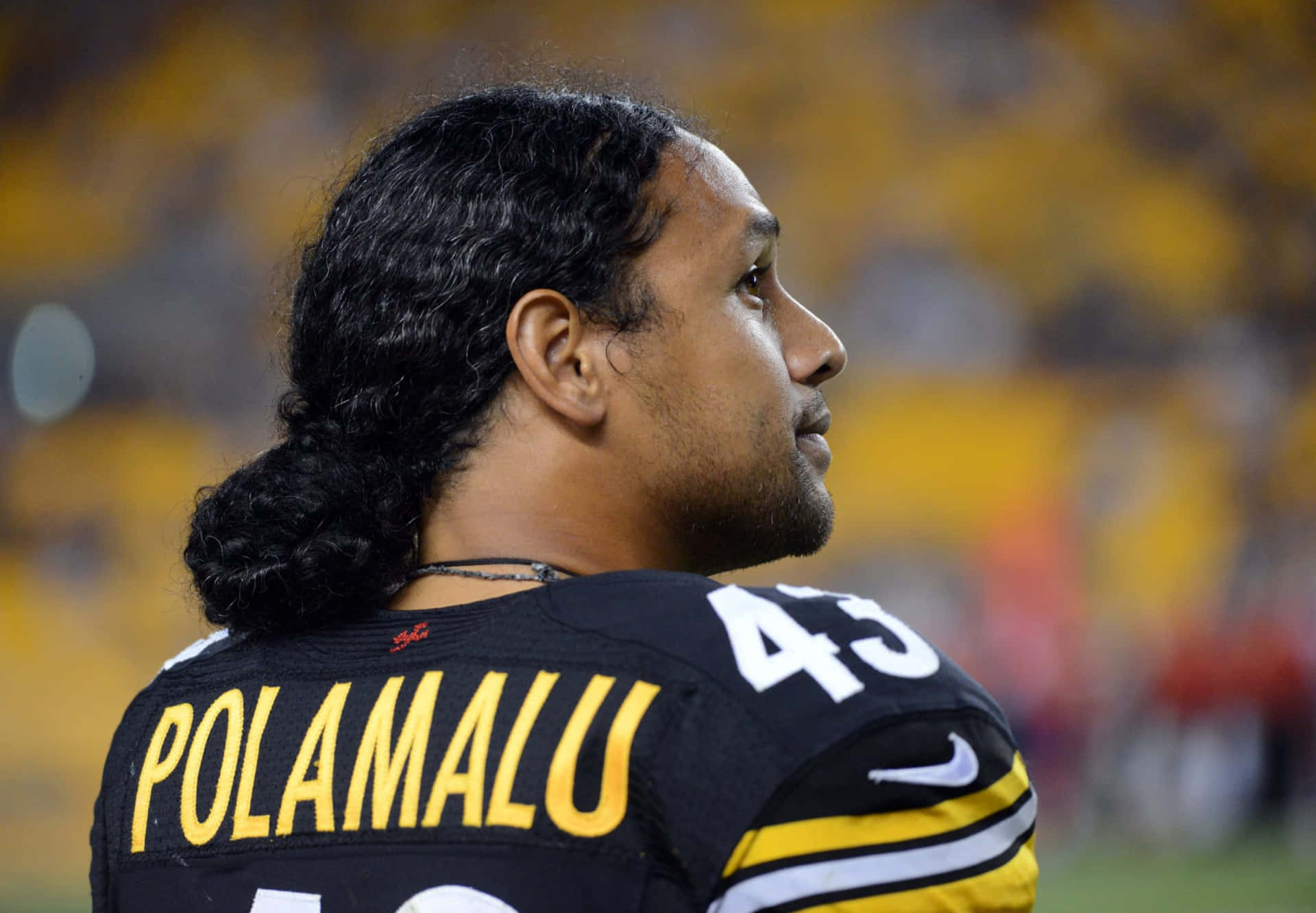 Troy Polamalu 身穿鋼人隊球衣在夜間比賽中望向遠方。