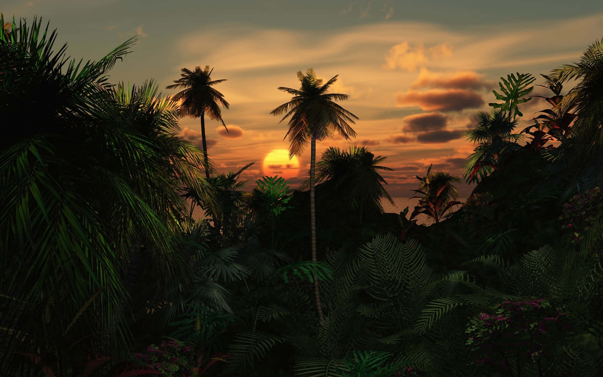 熱帶夕陽，棕櫚樹剪影映襯橙色雲彩。