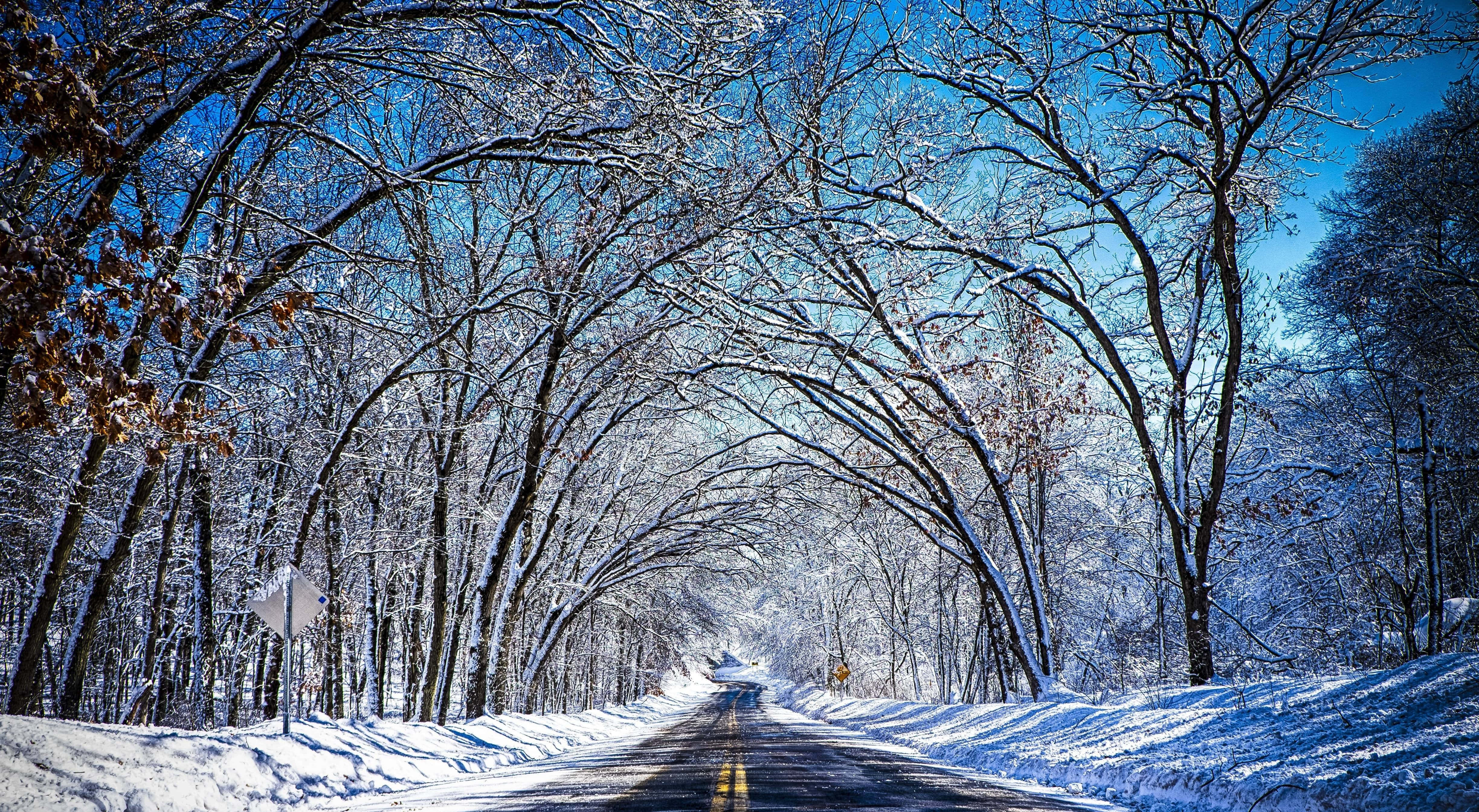 前方是令人興奮的彎曲山道 壁紙 — 一條被雪覆蓋的道路蜿蜒穿過光禿禿的冬季樹木隧道，上方是清澈的藍天。