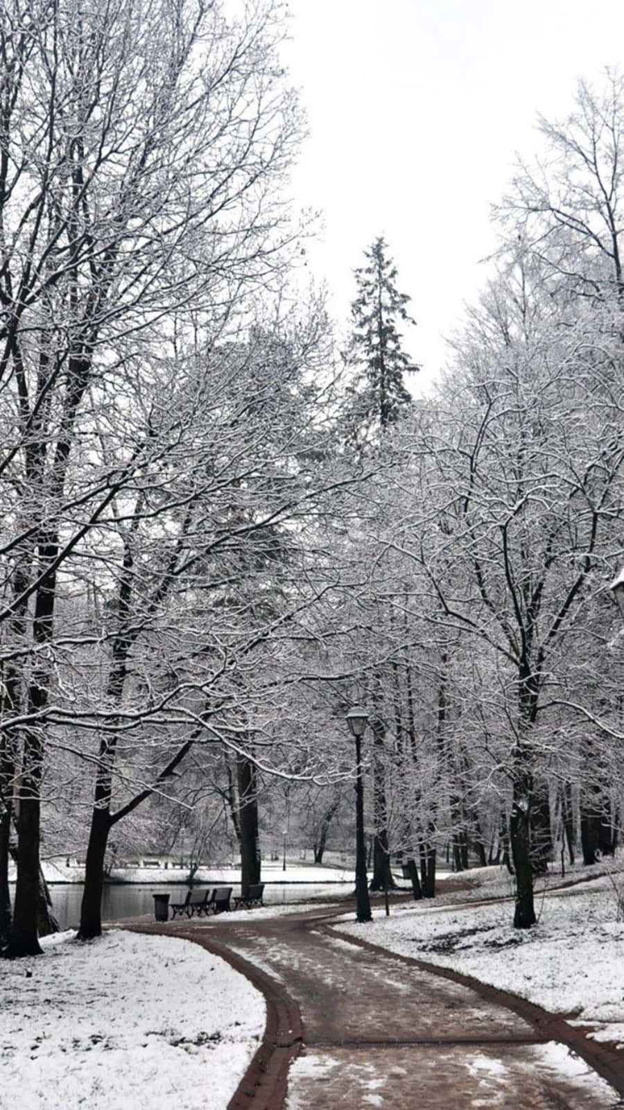 白雪覆蓋了一條蜿蜒的公園小徑，周圍是光禿禿的樹木和一個結冰的池塘。