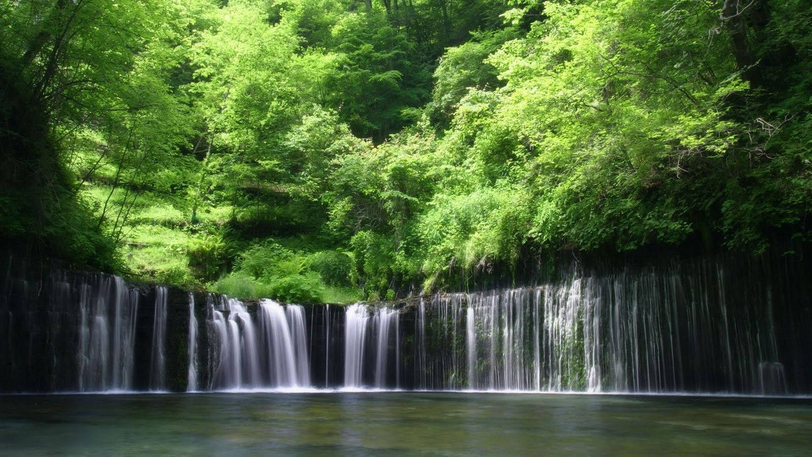 剛果瀑布與綠樹 壁紙 — 一道寧靜的水流輕輕流過長滿苔蘚的岩石，流入被茂密綠色森林環繞的平靜水池。