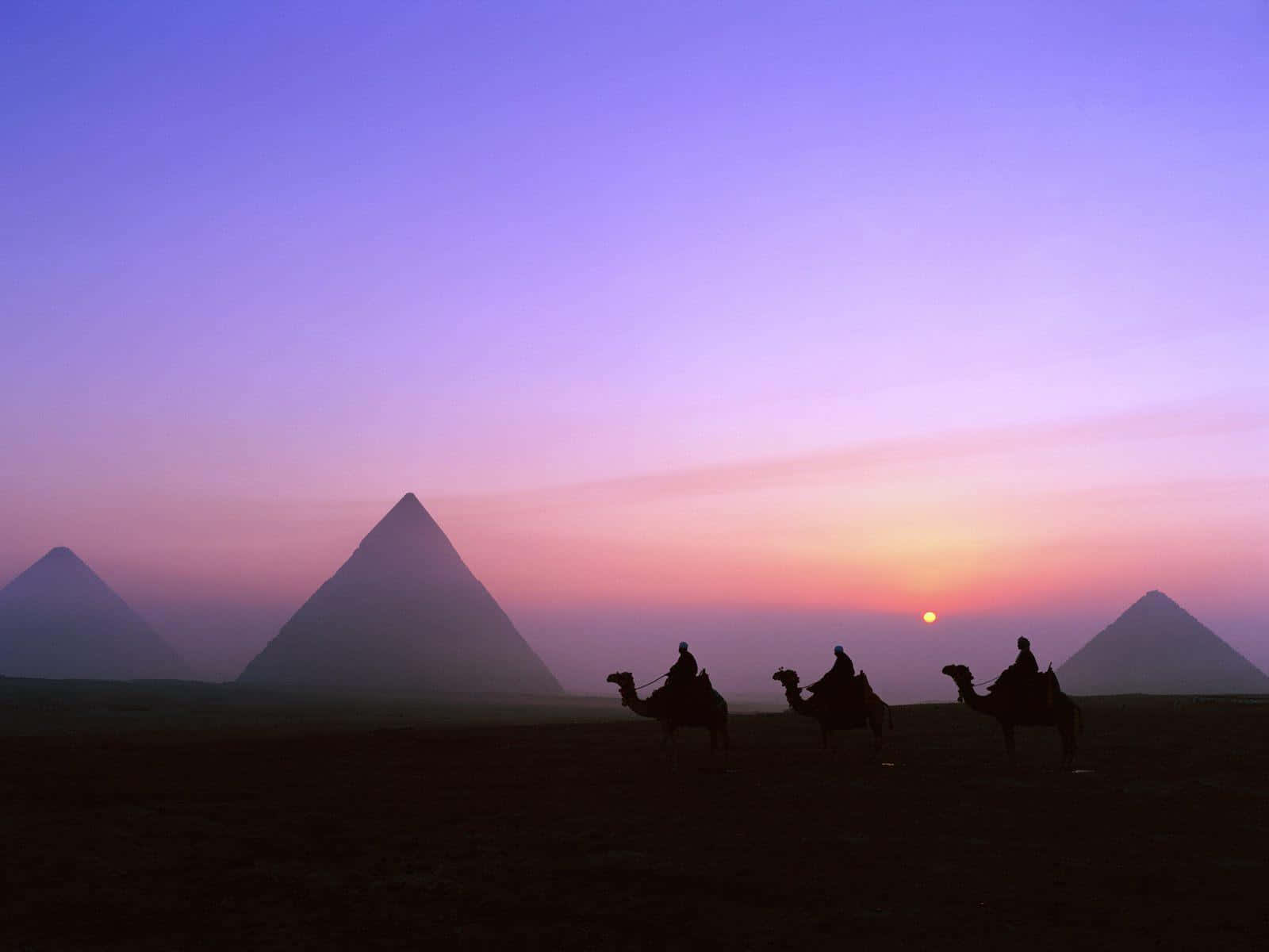 Egypt 桌布 壁紙 — 剪影中的駱駝和騎手在日落時分穿越沙漠，雄偉的金字塔在紫色和粉紅色的漸變天空中聳立。