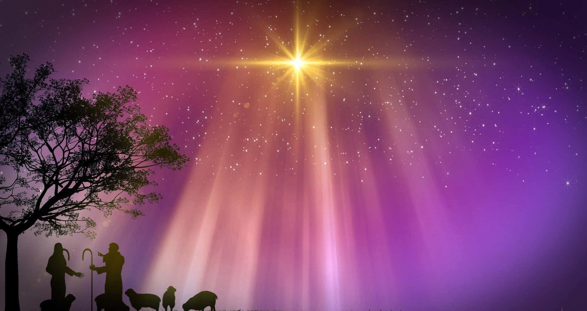 Nativity Scene 桌布 壁紙 — 剪影人物和羊群仰望一道穿透紫色星空的耀眼星爆。