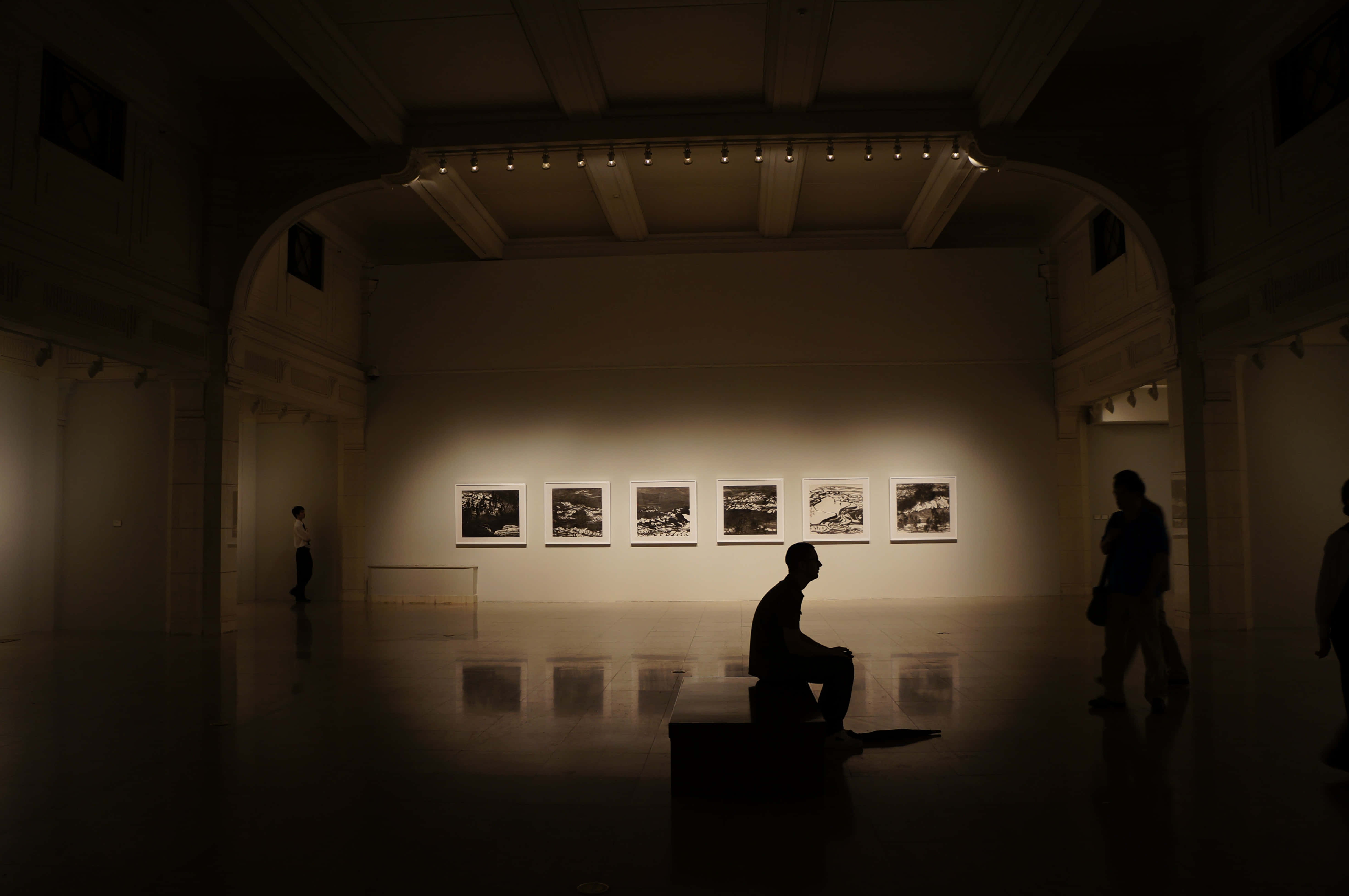 Gallery 桌布 壁紙 — 剪影人物坐在昏暗的拱形天花板畫廊中，在一排裱框黑白照片前沉思。
