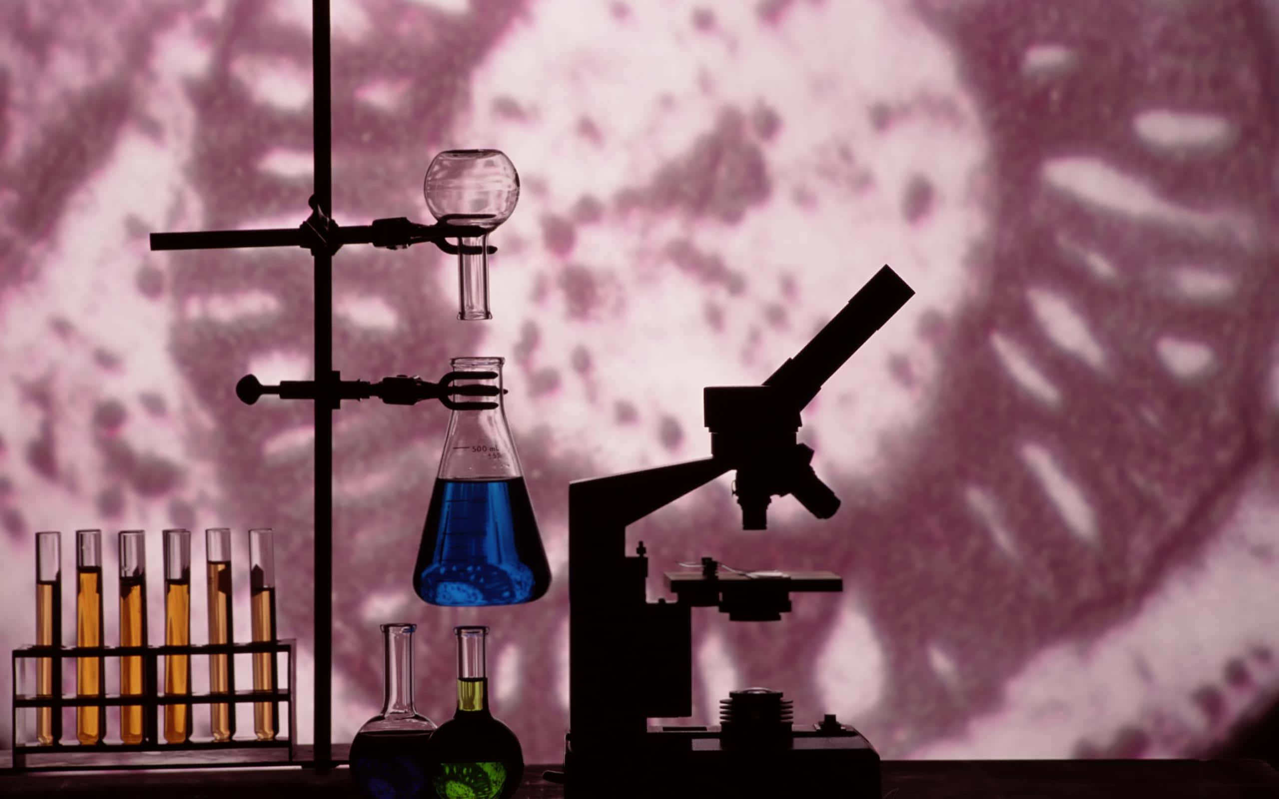 Chemistry 桌布 壁紙 — 剪影實驗室設備，包括顯微鏡和燒瓶，背景為發光的紫色顯微圖像。