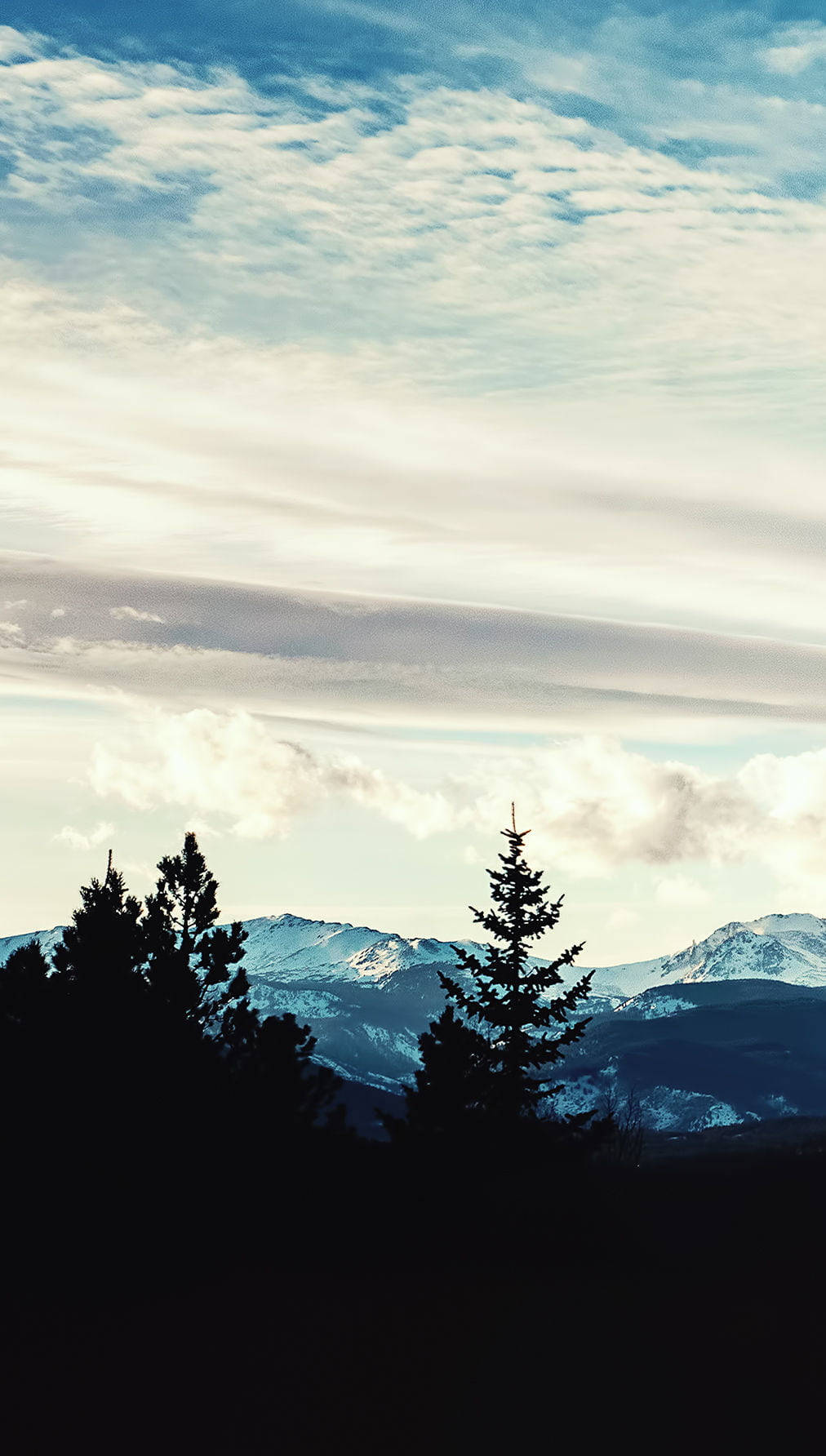 iPhone 桌布 壁紙 — 剪影常綠樹襯托著雄偉的雪山山脈，天空廣闊，雲朵柔和。