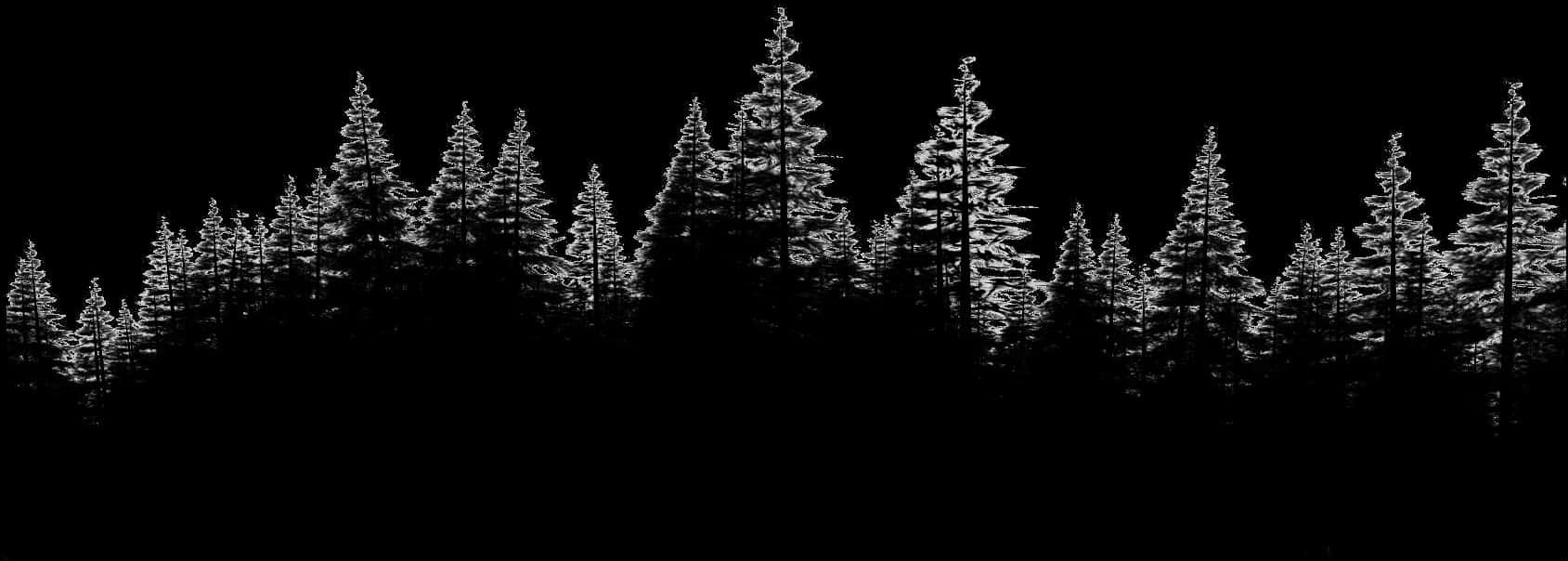 剪影松樹林夜空 壁紙