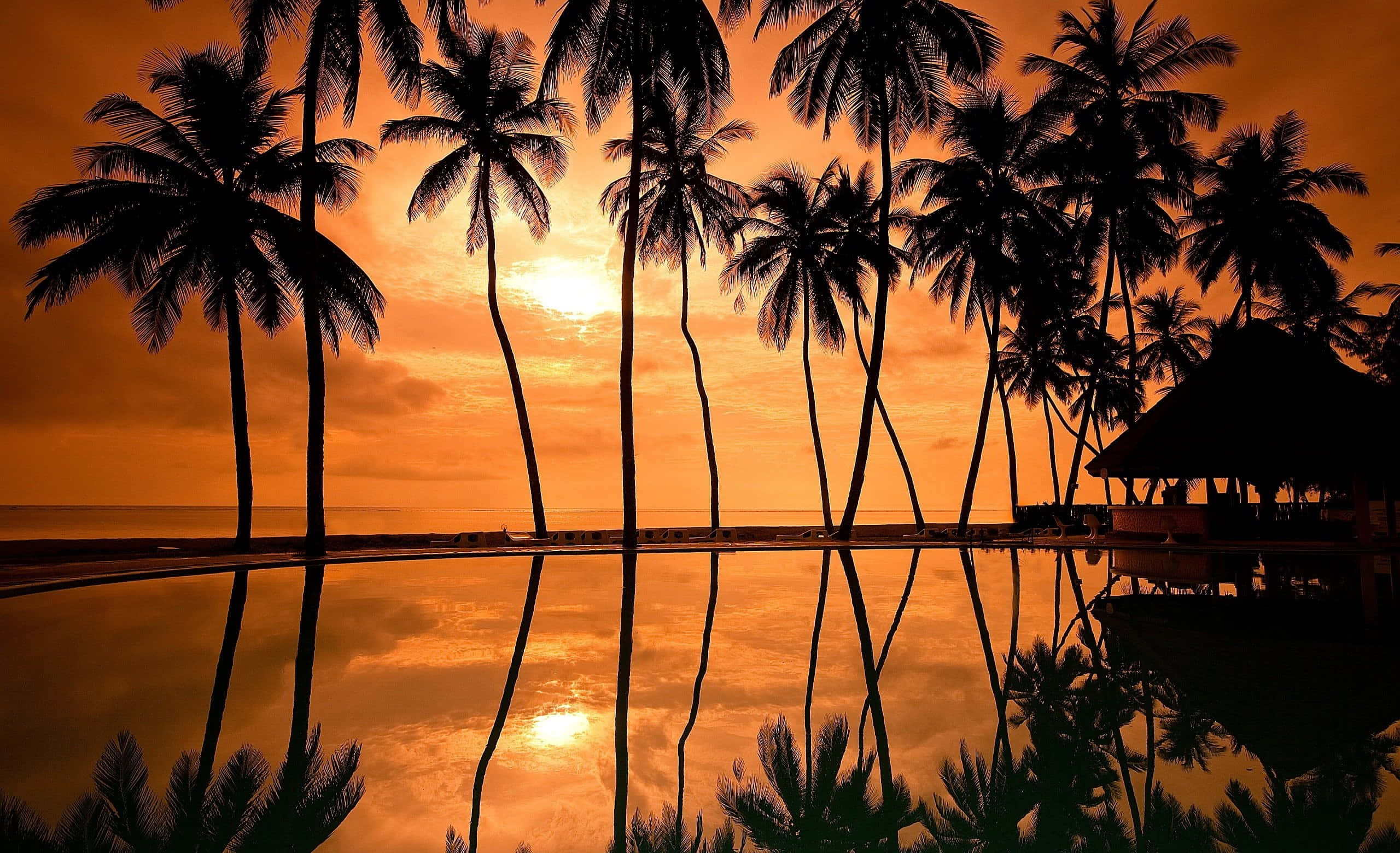 Sunset Reflection 桌布 壁紙 — 剪影棕櫚樹倒映在寧靜的泳池中，夕陽以火熱的橙色沉入海洋。
