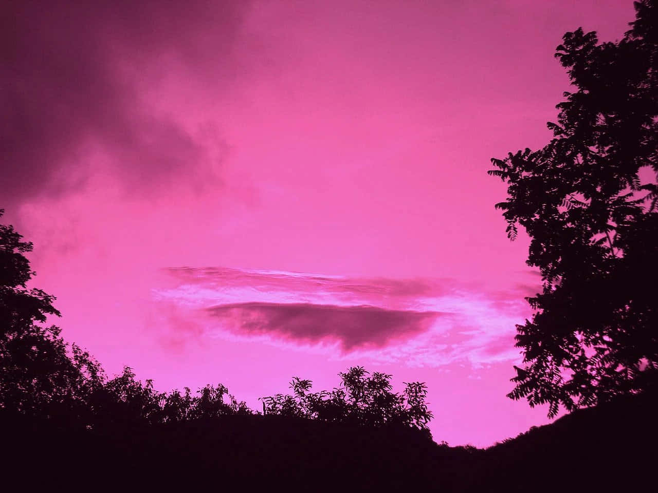 Pink Sky 桌布 壁紙 — 剪影樹木框住黃昏時分超現實的粉紅天空，帶有戲劇性的雲彩。