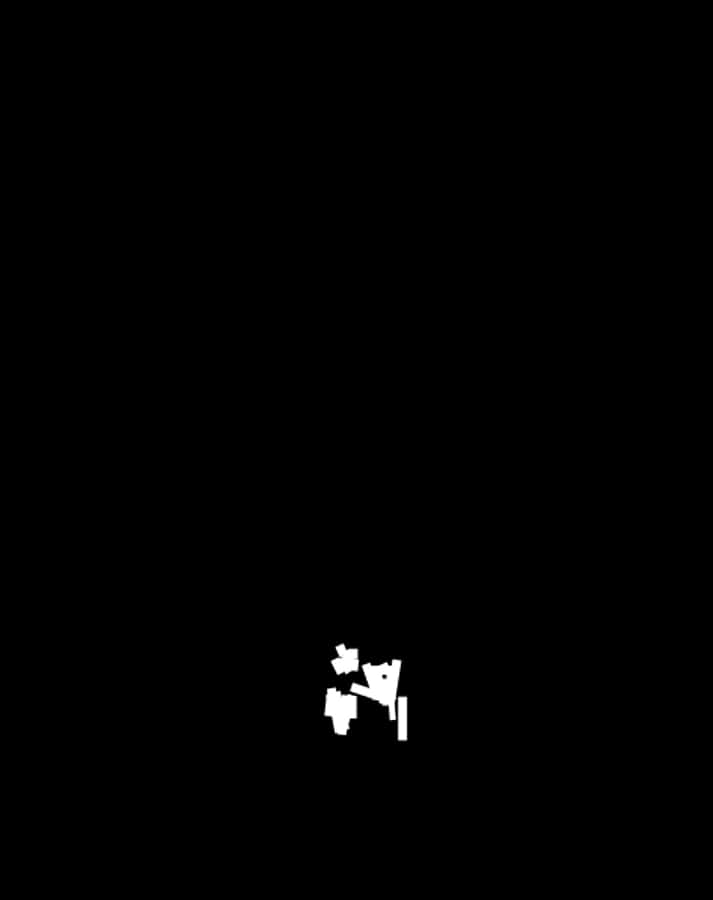 剪影樹與夜空 壁紙