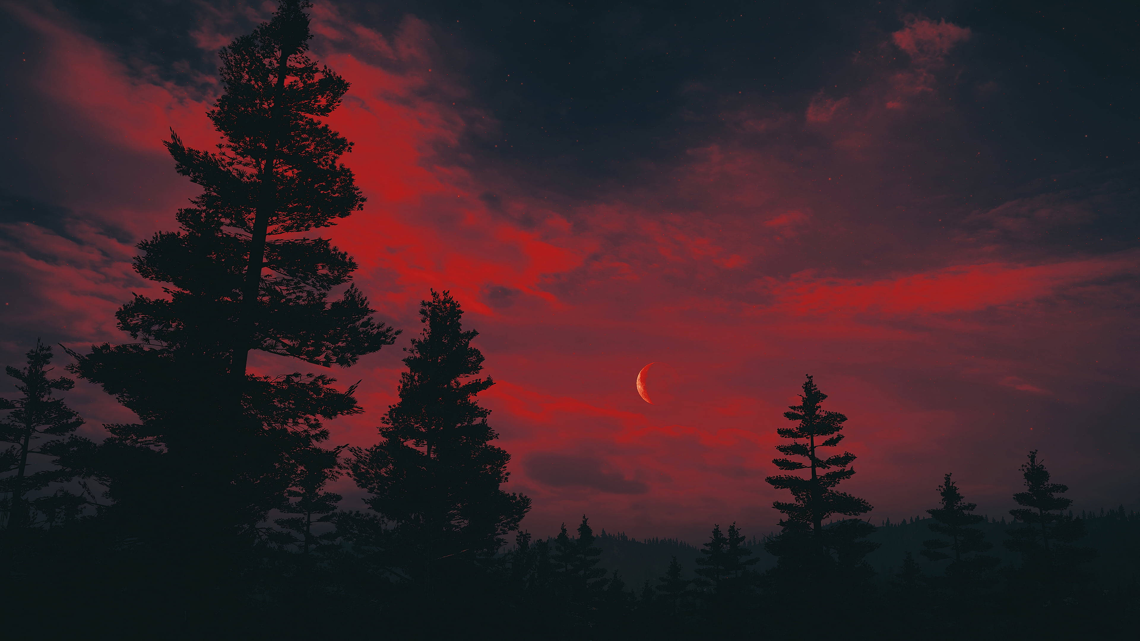 夜空 桌布 壁紙 — 剪影的松樹聳立在戲劇性的紅色和黑暗的天空中，一彎新月微弱地發光。