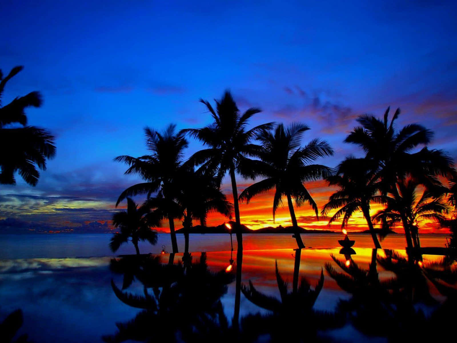 Sunset Ocean 桌布 壁紙 — 剪影的棕櫚樹倒映在平靜的水面上，熾熱的夕陽將天空染成橙色和深藍色。