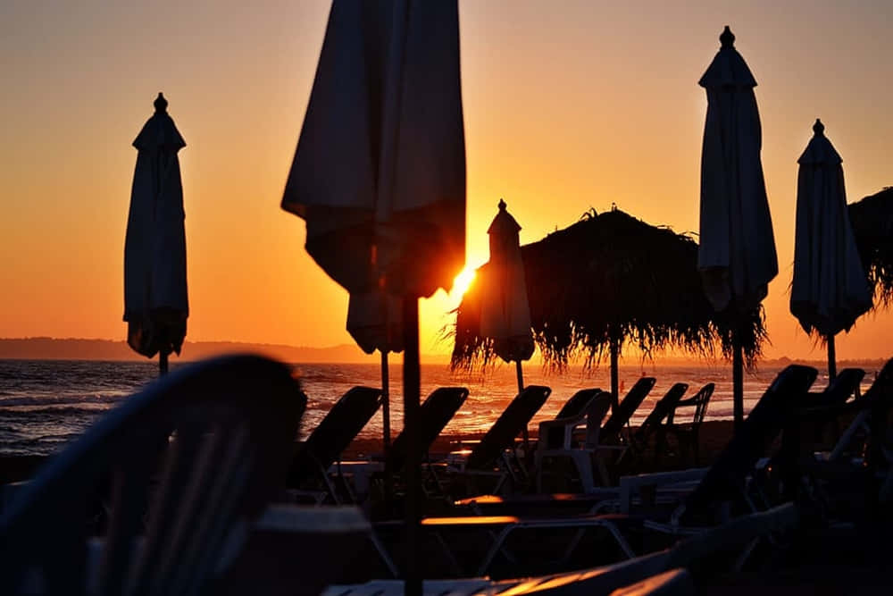 Beach Sunbed 桌布 壁紙 — 剪影的海灘遮陽傘和躺椅框住了平靜海面上閃耀的日落。