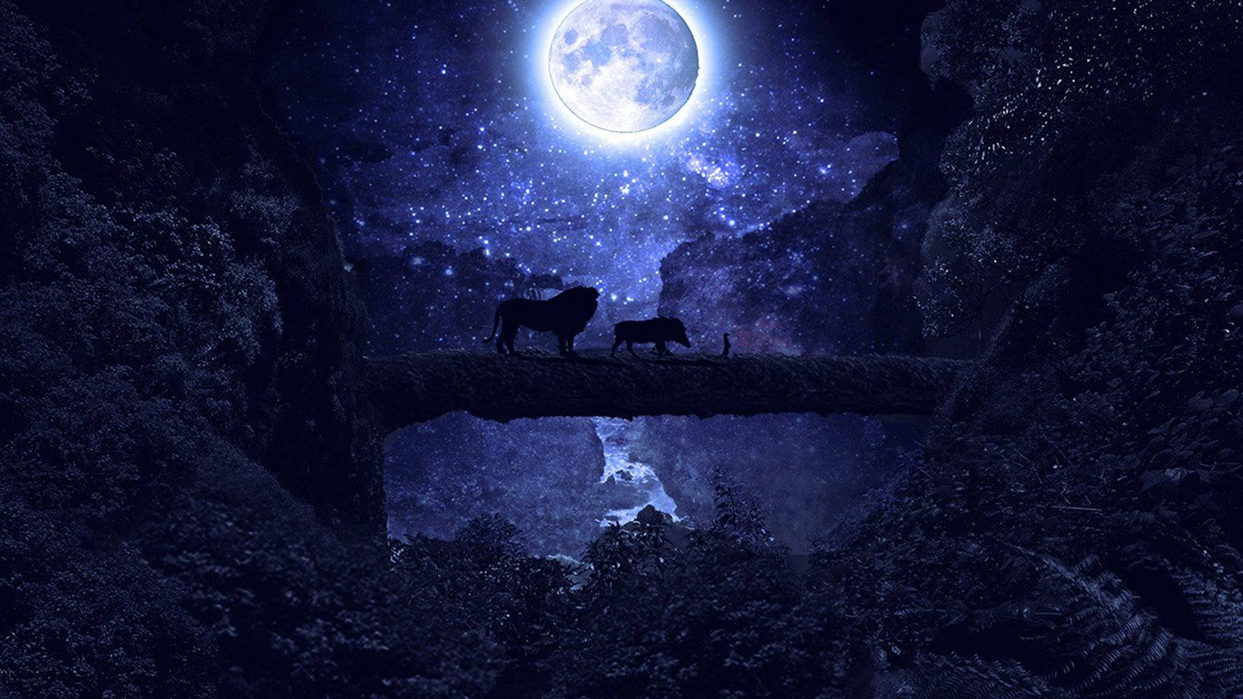 獅子王 桌布 壁紙 — 剪影的獅子和一個孩子在滿天星斗的夜晚峽谷中，在一輪巨大的月亮下走過一座發光的橋樑。