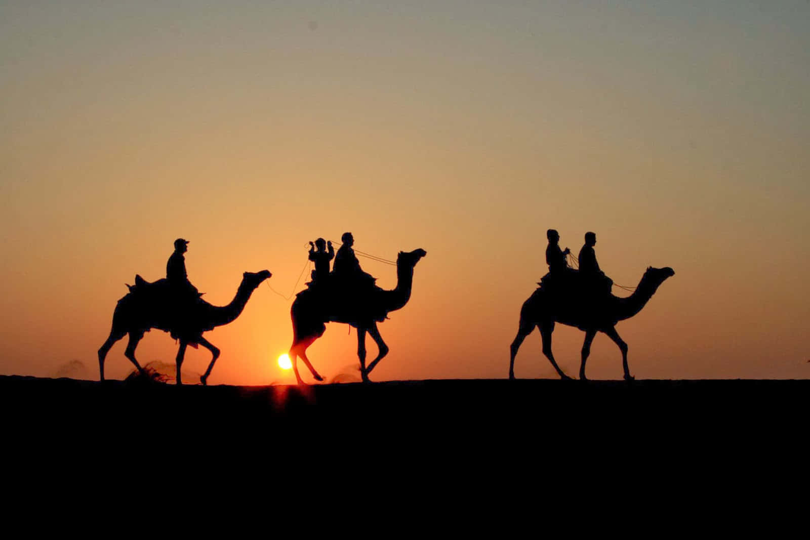 Rajasthan 桌布 壁紙 — 剪影的駱駝和騎手在日落時分穿越沙漠沙丘，地平線上有著發光的橙色太陽。