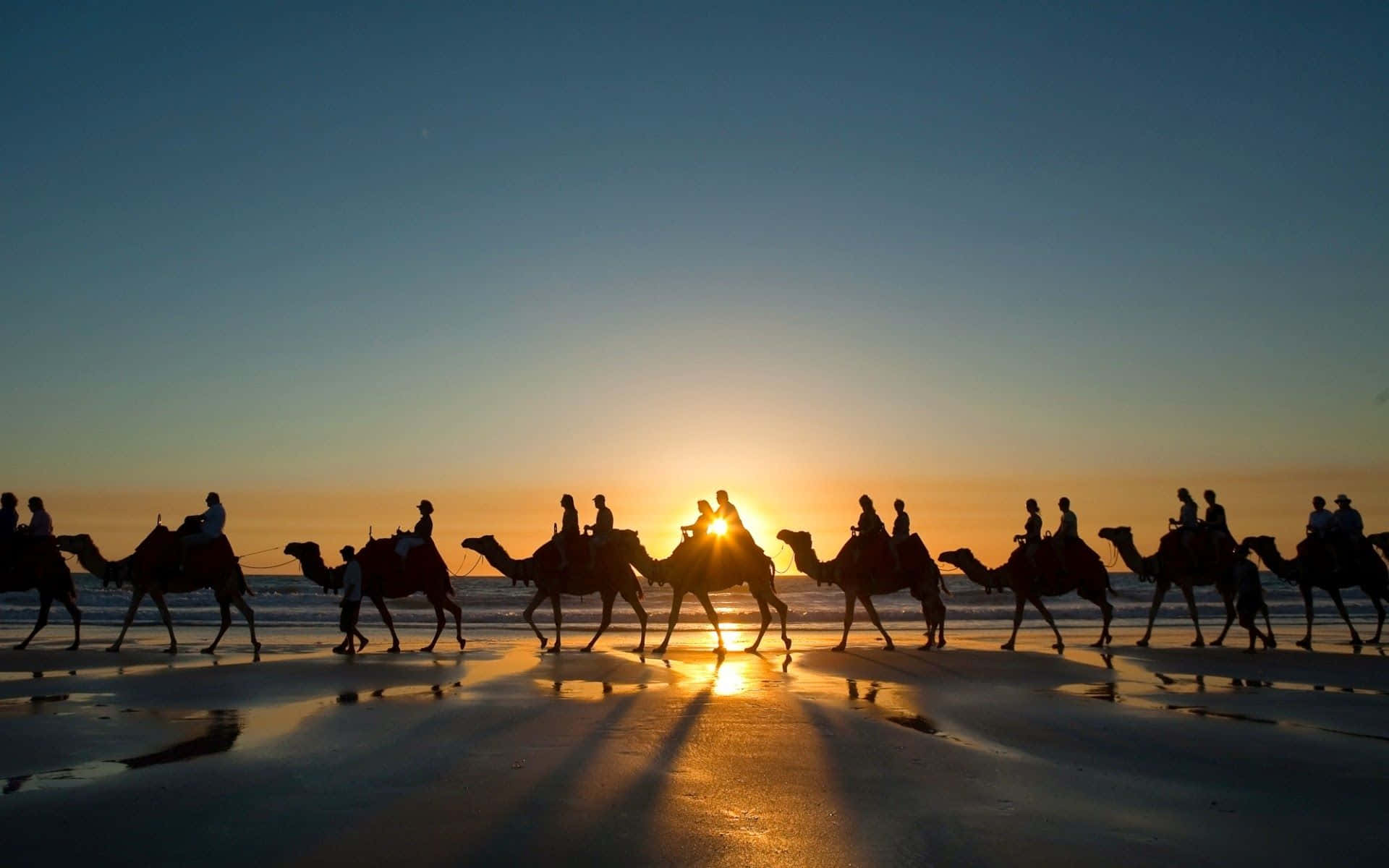 Egypt 桌布 壁紙 — 剪影的駱駝和騎手在濕漉漉的海灘上前行，夕陽在沙灘上投下長長的金色倒影。