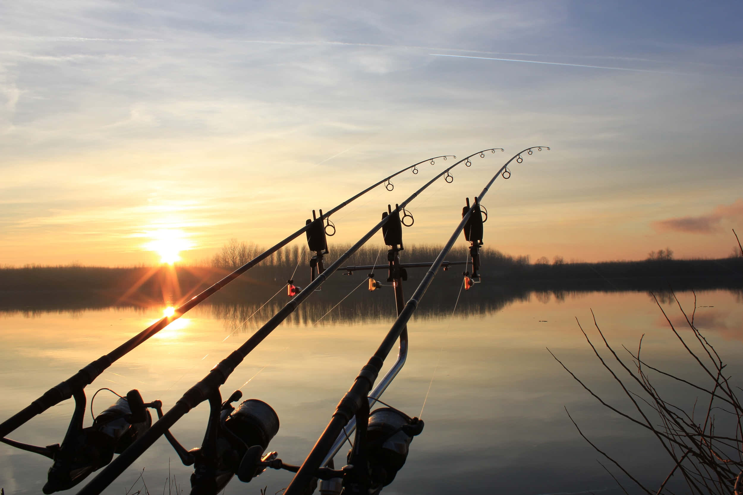Fishing Rod 桌布 壁紙 — 剪影的魚竿在平靜水面上反射的金色日落中優雅彎曲，前景由光禿的樹枝框住。