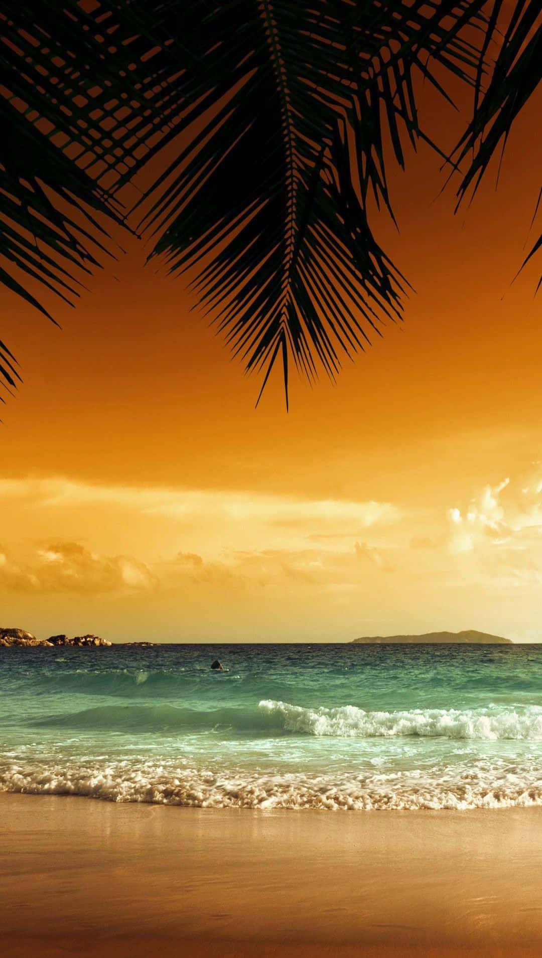 Yellow Beach 桌布 壁紙 — 剪影般的棕櫚葉框住金色日落，映照在輕拍沙灘的碧綠海浪上。