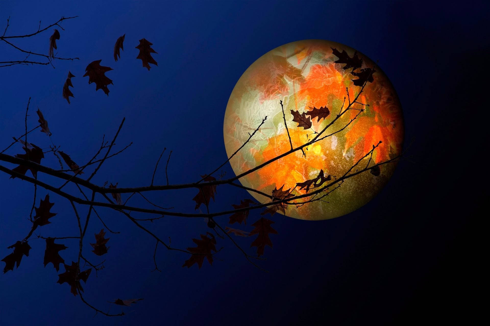 夜空 桌布 壁紙 — 剪影般的秋季樹枝框住一輪發光的橙色月亮，背景是深藍色的夜空。