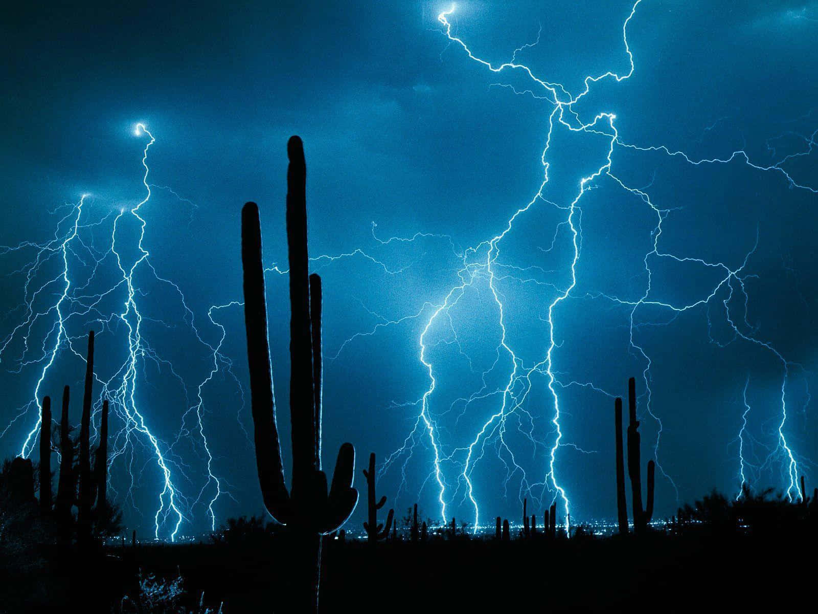 Weather 桌布 壁紙 — 剪影般的薩瓜羅仙人掌在佈滿鋸齒狀藍白色閃電的天空下清晰矗立。