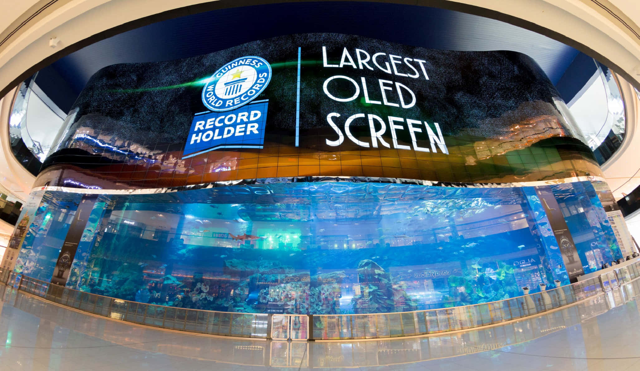 創下吉尼斯世界紀錄的OLED畫面 壁紙 — 一個巨大的弧形OLED屏幕，顯示「Largest OLED Screen」和健力士世界紀錄標誌，封閉在一個有藍色水和魚的玻璃水族箱中。