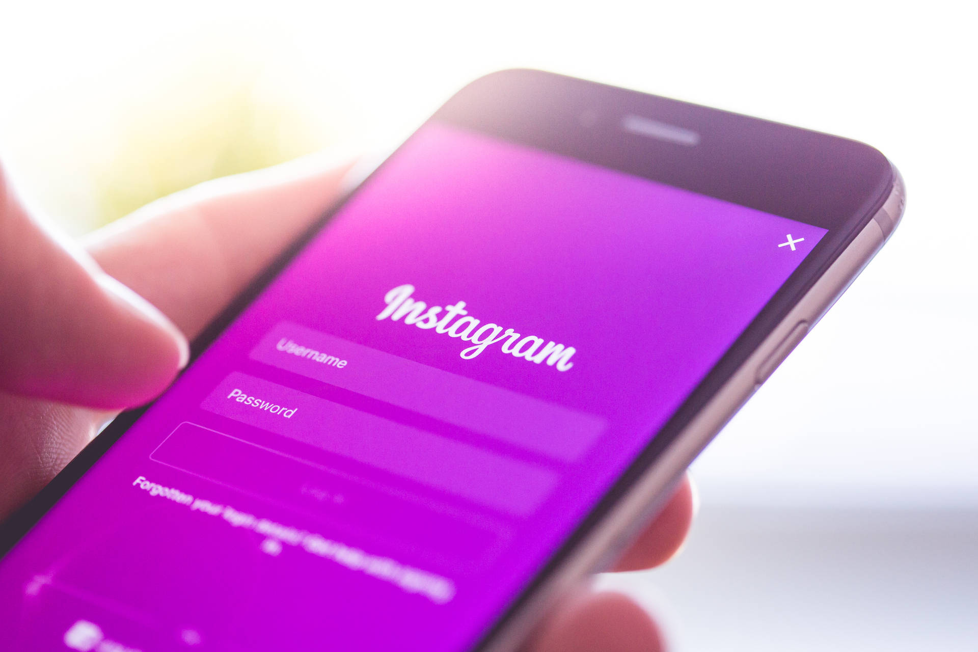 手拿著手機，顯示Instagram登入畫面，背景為紫色。