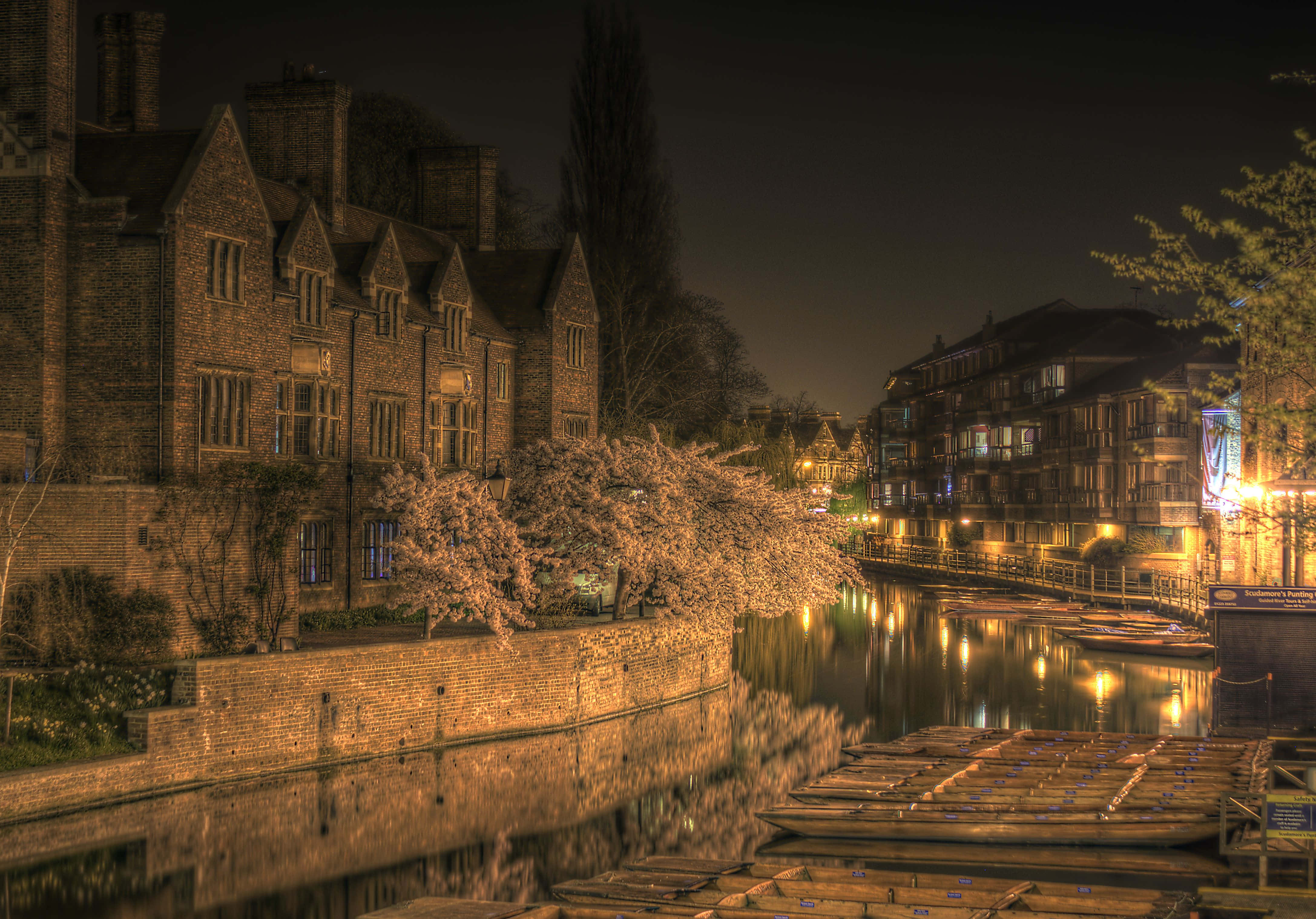 劍橋大學夜間燈光璀璨景觀 壁紙 — 劍橋一條運河的寧靜夜景，閃爍的燈光倒映在水面上，盛開的櫻花樹依偎在歷史悠久的磚砌建築旁。