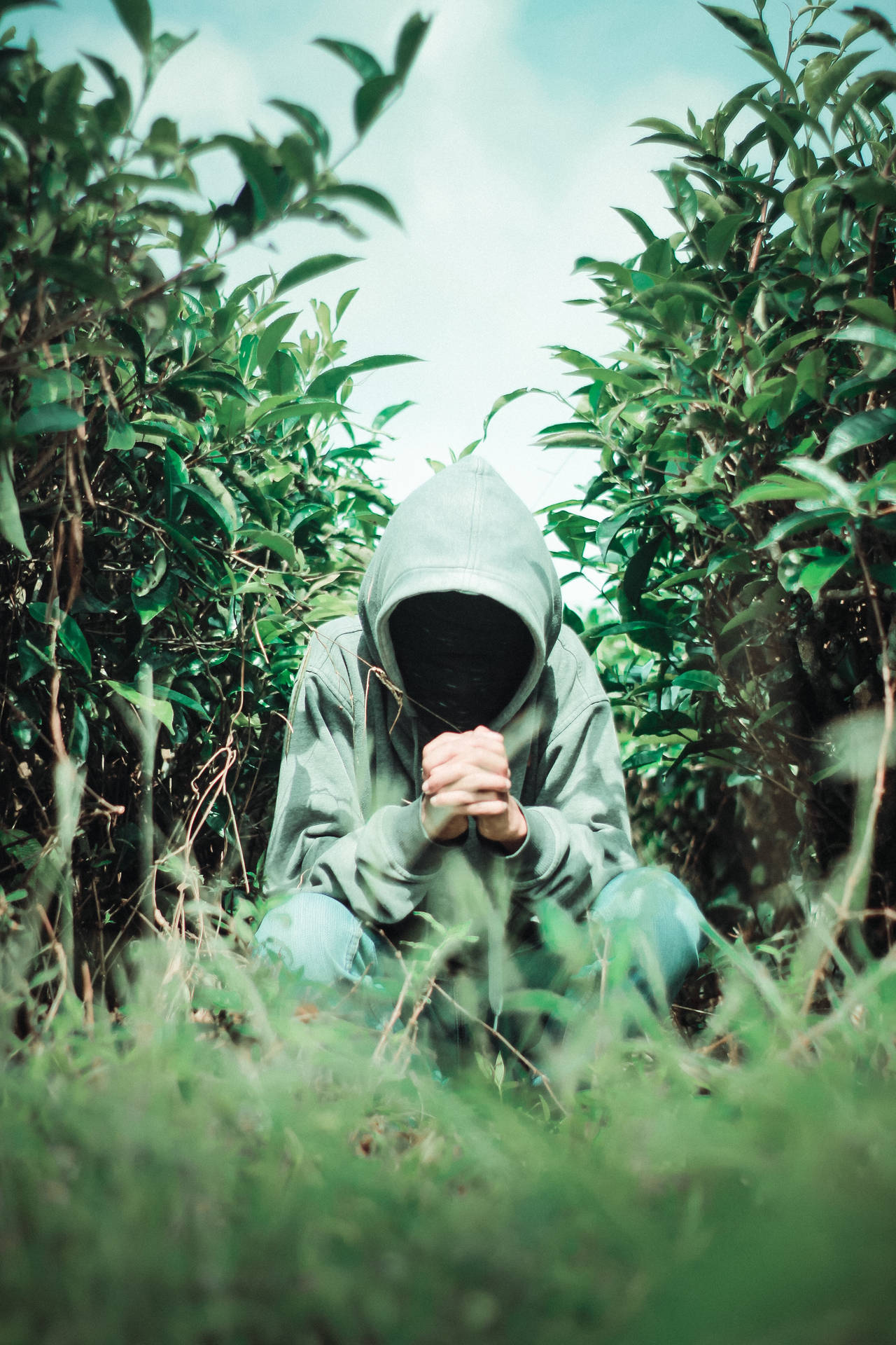 一個穿著灰色連帽衫的人蜷縮在綠色灌木叢中，雙手緊握，臉部隱藏。