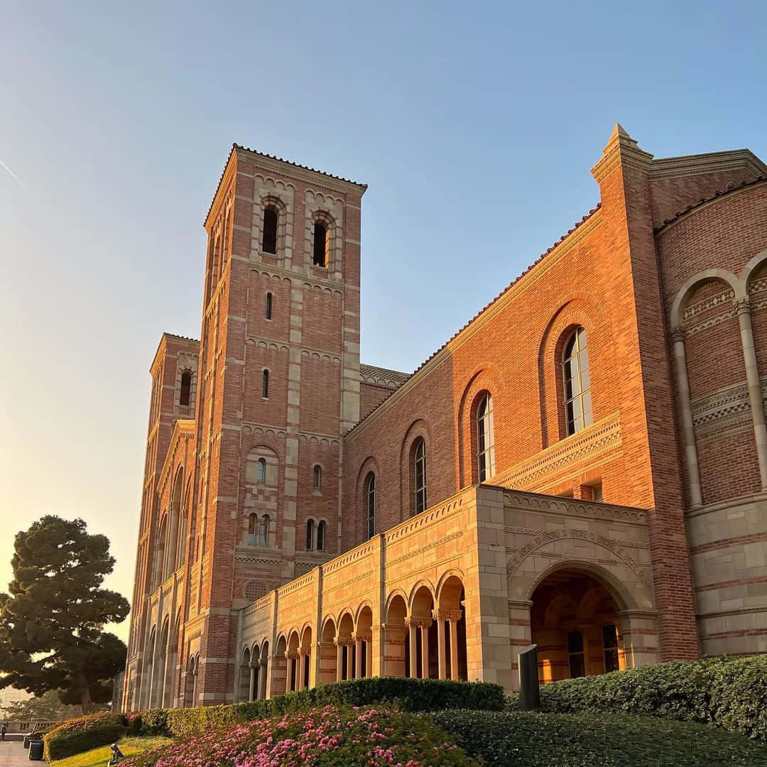 夕陽照亮了歷史悠久的磚造大學建築，拱形步道和開花的灌木叢。