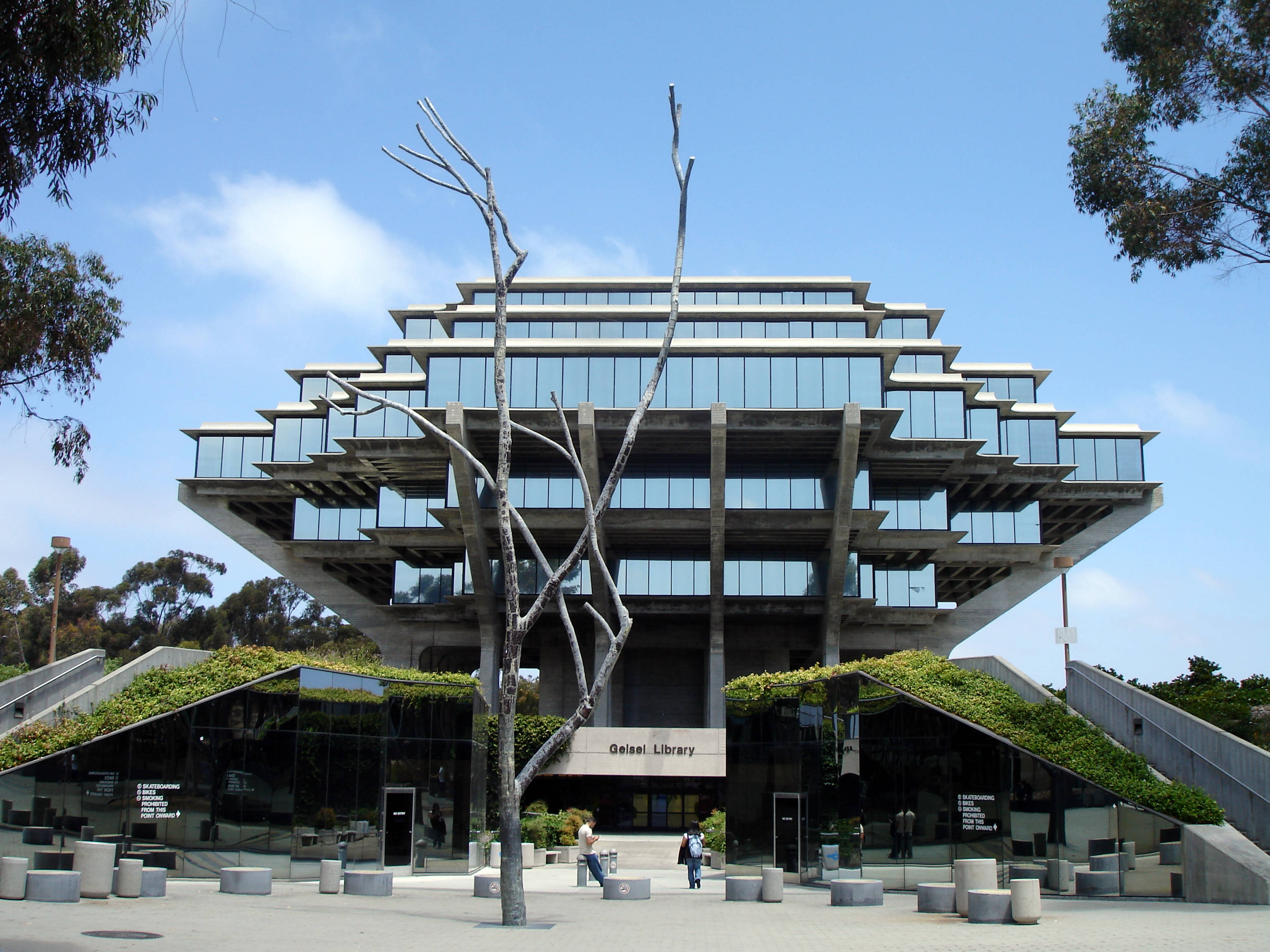加州大學聖地亞哥分校（UCSD）日間校園風景 壁紙 — 現代主義風格的Giesel圖書館，分層玻璃外牆，前景有裸樹，天空清澈湛藍。