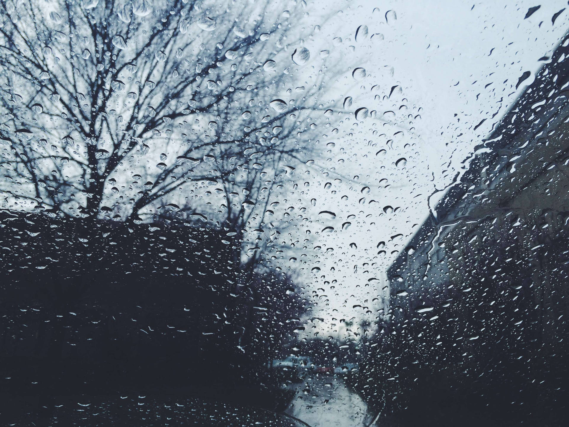 窗戶上的雨滴顯示光禿的樹木和黑暗的小巷。