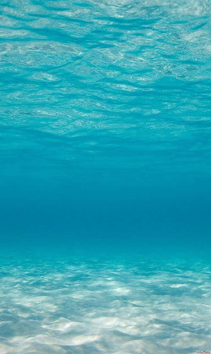 陽光穿過清澈碧綠的海洋，照射到沙質海底。