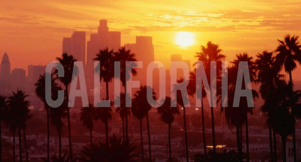 棕櫚樹剪影映襯著洛杉磯天際線上的日落，帶有 'CALIFORNIA' 文字。