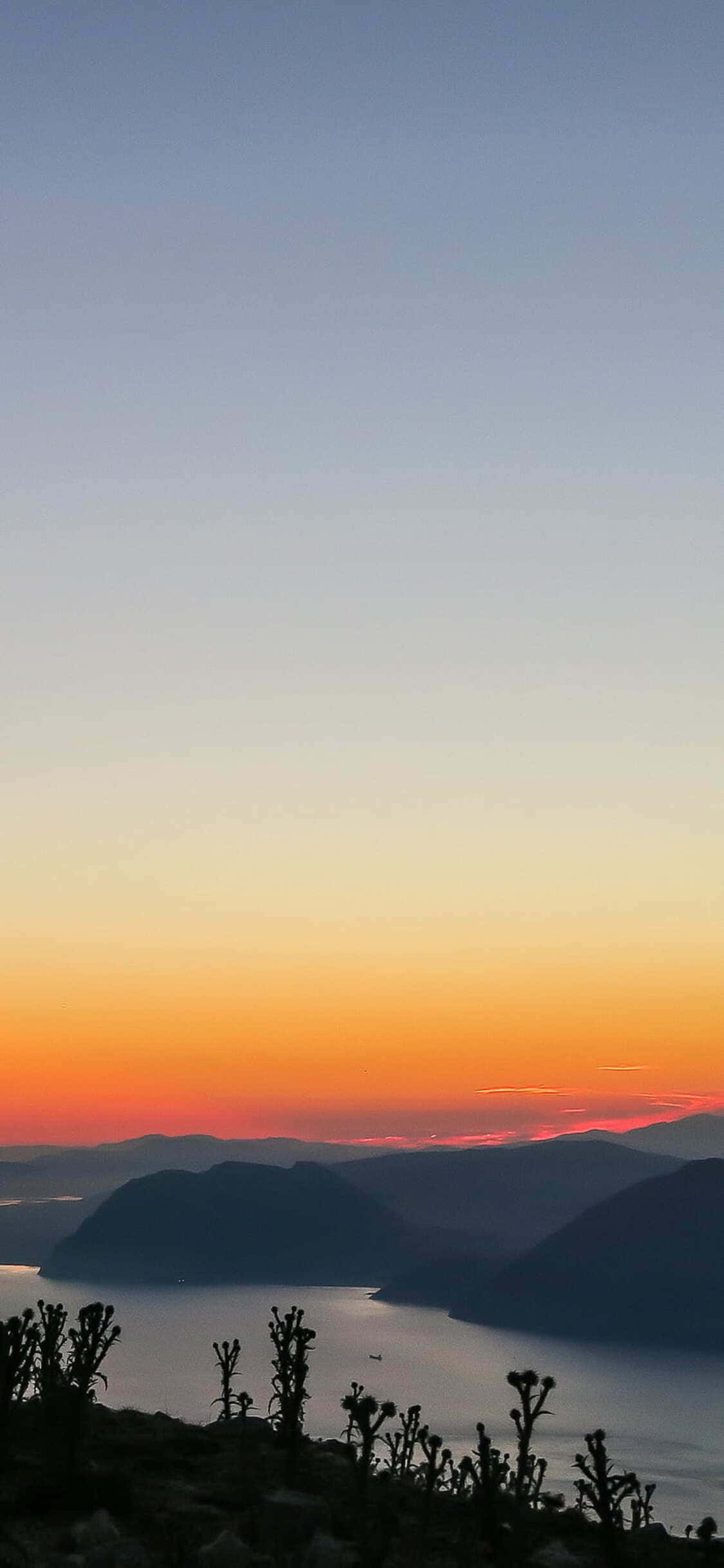 加州盡在掌握 壁紙 — 平靜海灣上的寧靜日落，前景有剪影山脈和仙人掌。