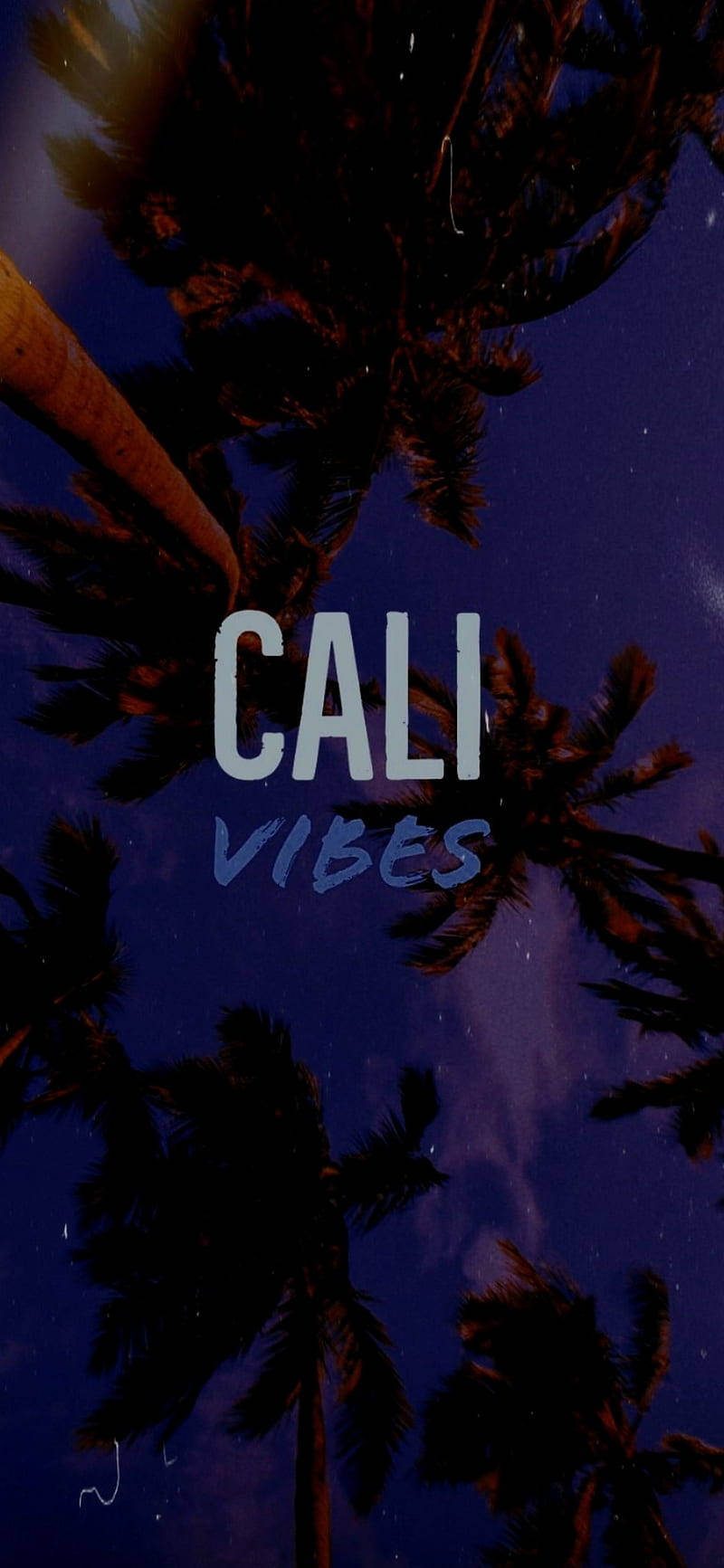棕櫚樹剪影映襯星空夜空，並帶有cali vibes文字。