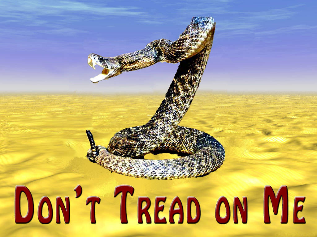 沙漠中的響尾蛇及「Don't Tread On Me」文字。