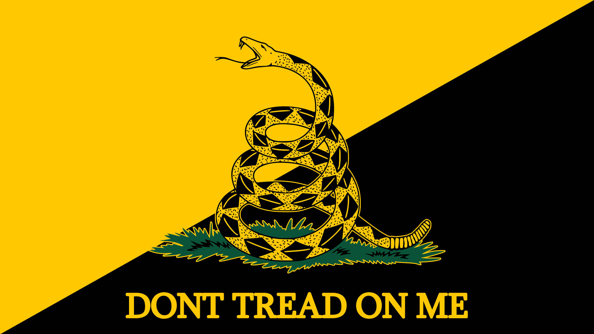 一面黃黑旗幟，帶有盤繞的響尾蛇和「DONT TREAD ON ME」字句。