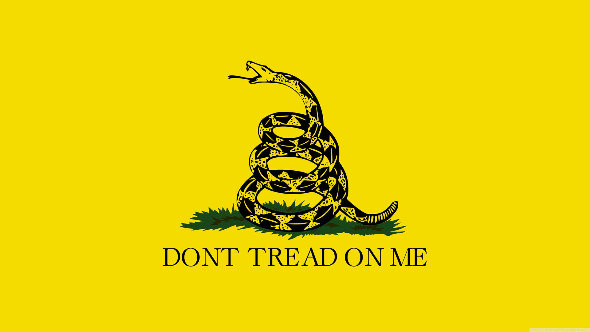 盤繞的黑色響尾蛇在綠色草地上，黃色背景上有「DONT TREAD ON ME」文字。