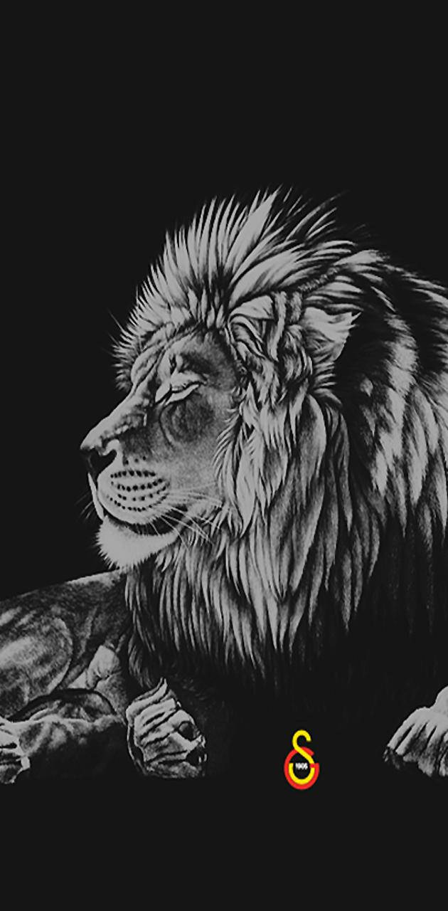 一幅詳細的黑白素描，描繪一頭閉眼休息的獅子。