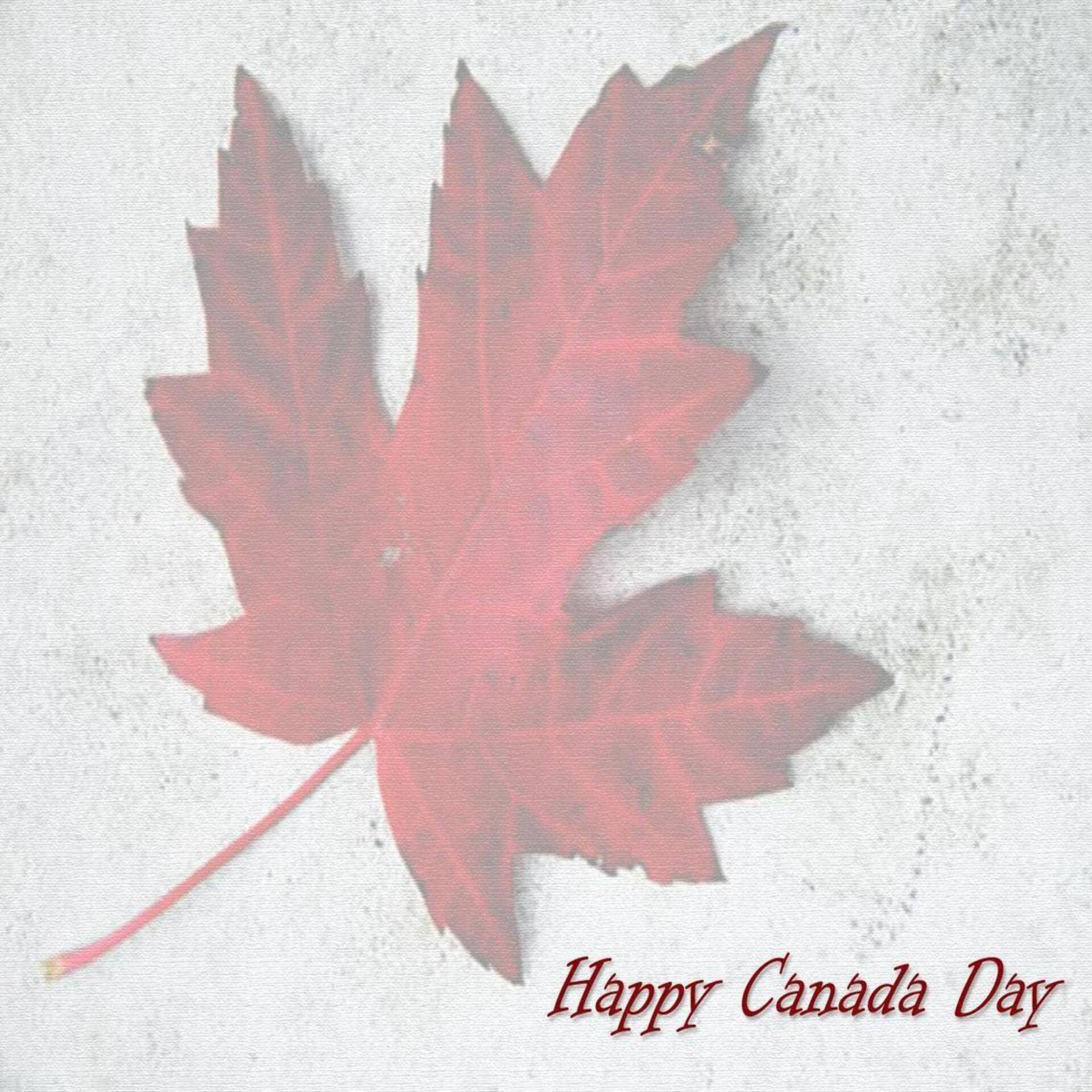 白色紋理背景上的紅色楓葉及Happy Canada Day文字。