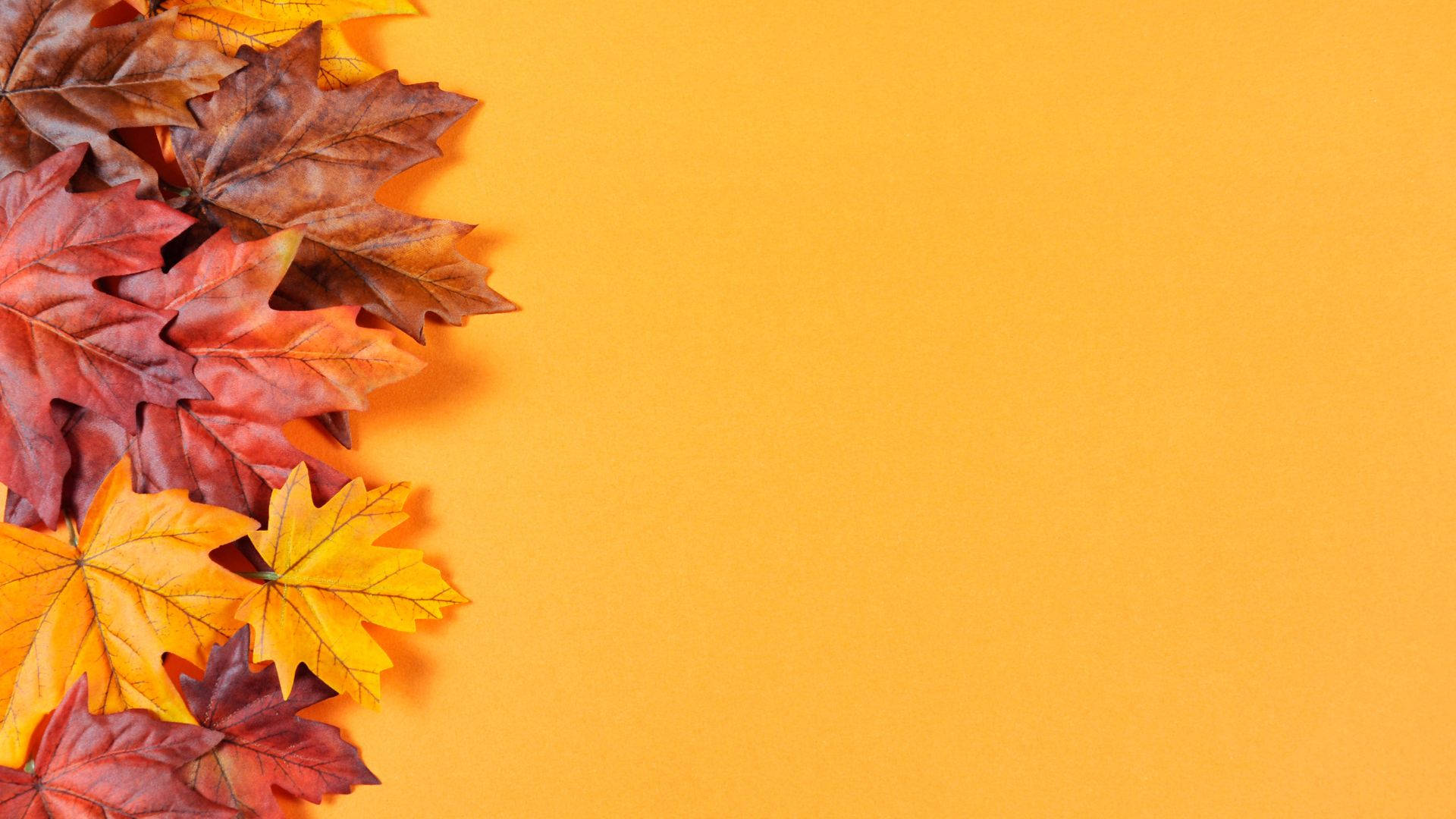 紅色、橙色和黃色的秋葉在黃色背景上排列成邊框。