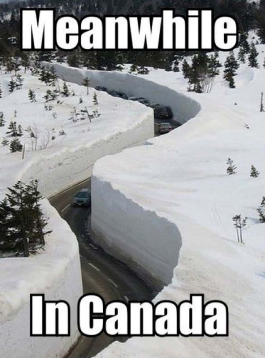 白雪覆蓋的道路，汽車在加拿大高聳的雪堆中行駛。