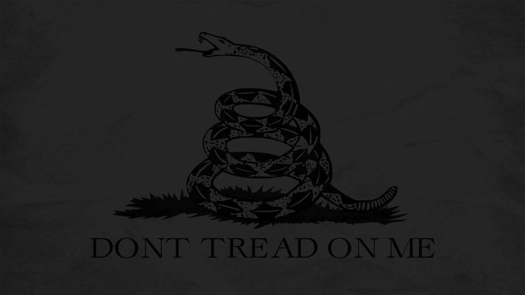 盤繞的響尾蛇，頭部抬起，文字「DONT TREAD ON ME」在深色紋理背景上。
